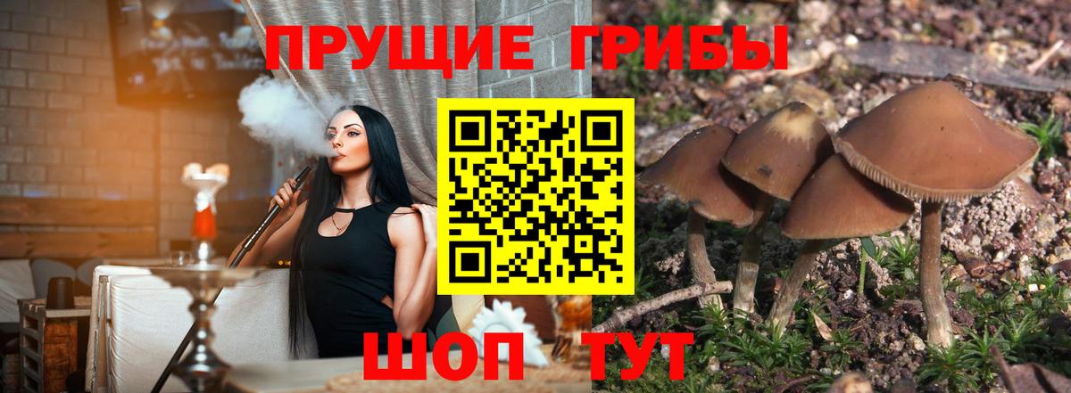 Галлюциногенные грибы мицелий Строитель