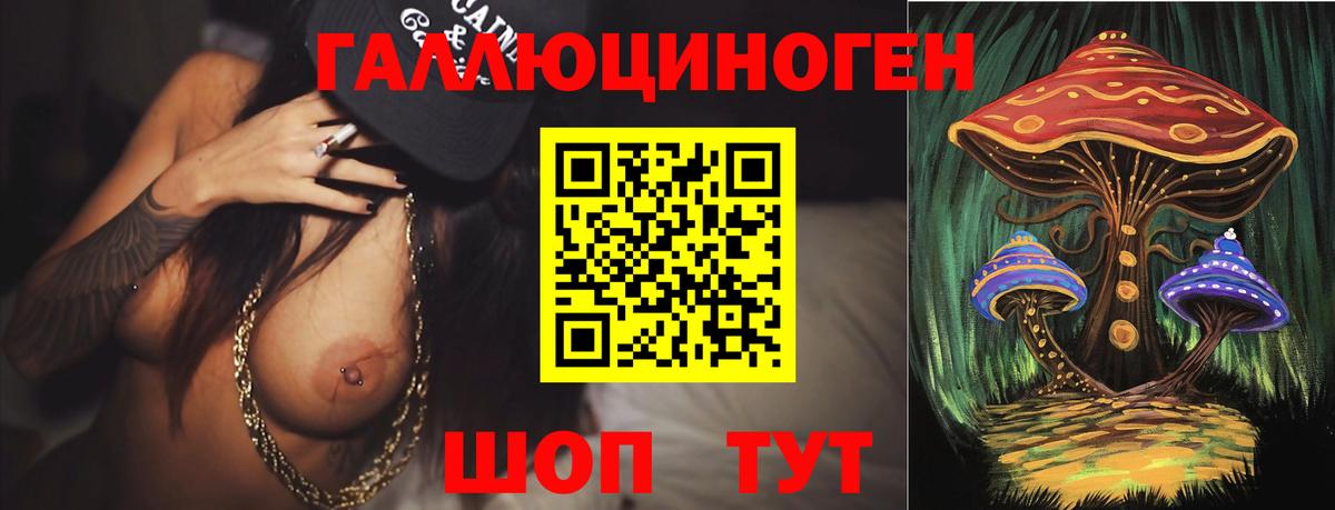 Строитель  Псилоцибиновые грибы ЛСД  Галлюциногенные грибы Psilocybine cubensis  Вход с VPN 